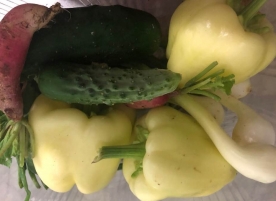 Salata de vara _ardei gras, castravete, ceapa , salata eco
